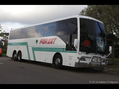 Forest Coach Lines [Terrey Hills] Mercedes-Benz O500RF-3 / Coach Design, TV 1573