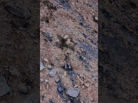 DJI Neo Grabando el paso del derrumbe en el Calvario Meta. #djineo #benellileoncino500 #colombia