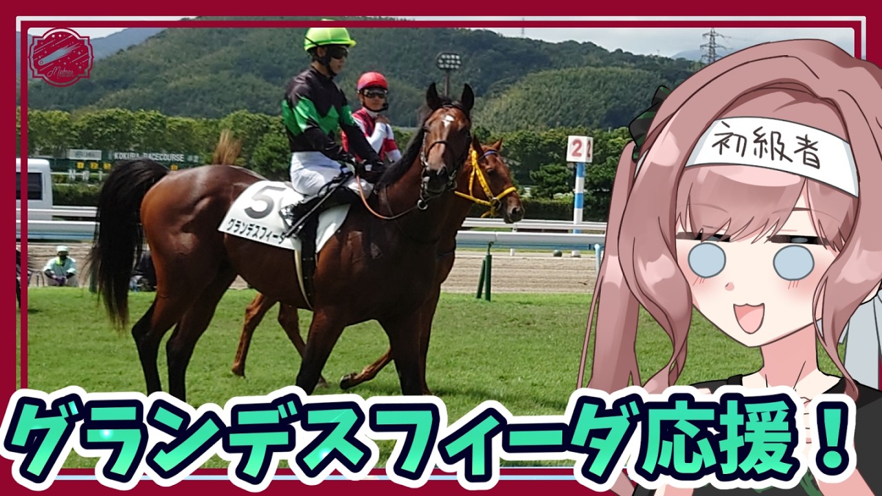出資馬 グランデスフィーダ の応援! #雑談 #一口馬主
