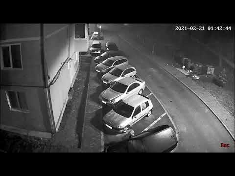 Tineri  prinşi în flagrand de poliţiştii din Ineu - 20 februarie 2021