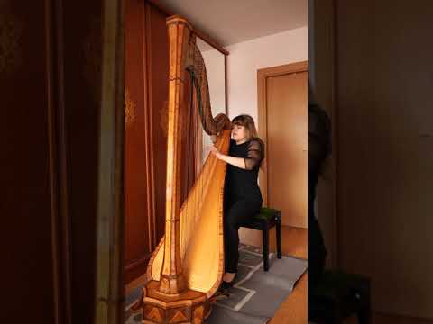 W.Posse: Etude Nº3 . Jimena Eisele Farag, harp  28/01/21