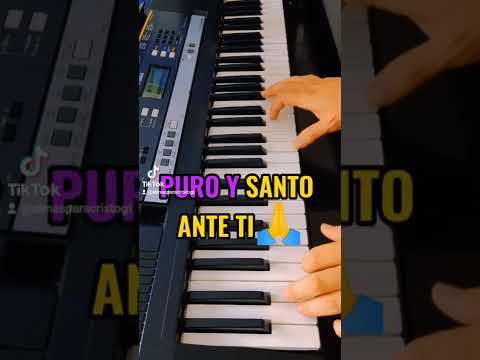 YO TE ADORO SEÑOR | Almas Para Cristo