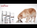 Krmivo pro psa Royal Canin Veterinary Diet Dog Gastrointestinal Low Fat 12 kg
