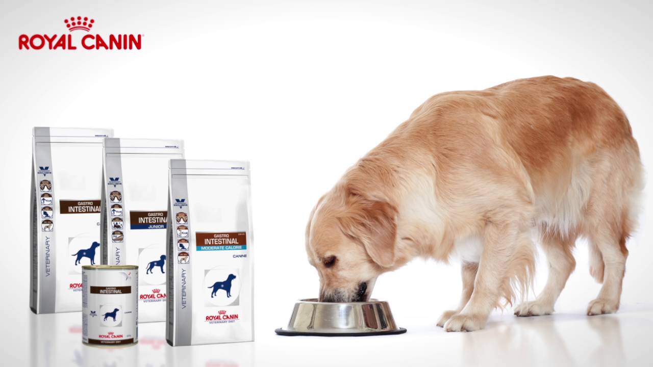 Royal Canin GI Veterinary Diet