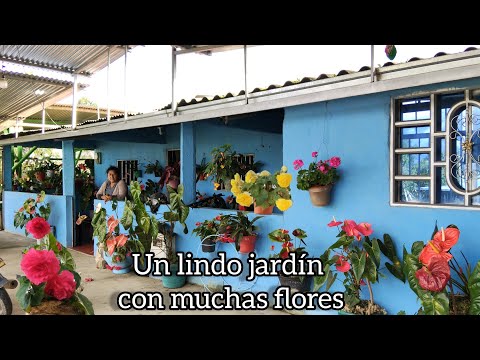 Doña Rubiela's garden / Join me on this tour where we will find a variety of flowers.