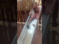 Tinku Maahi Masti In Holi