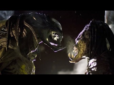 Alien Vs Predator requiem (2007) predalien(hybrid Xenomorph) Vs wolf(elite predator) fight to death