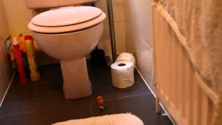 Paul Scholes goes to the Toilet