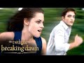The First 5 Minutes Of The Twilight Saga Breaking Dawn Part 2