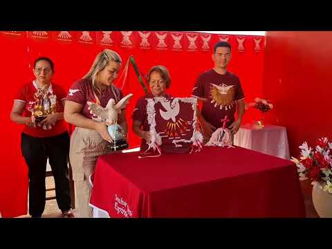 Descida do Mastro nas Festas de Santo de Rosário Oeste/MT, 2025