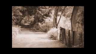 John Lee Hooker - Baby Please Don't Go