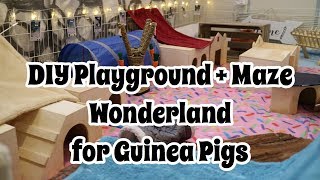 DIY Playground & Maze Wonderland for Guinea Pigs