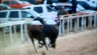 EL TRANSFORMER Y LA COBRA... GRUPO LABERINTO.wmv