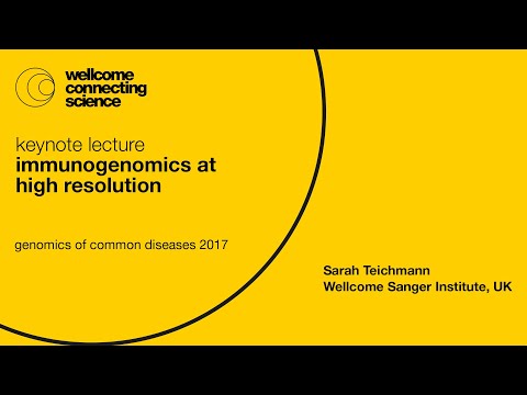 Immunogenomics at high resolution