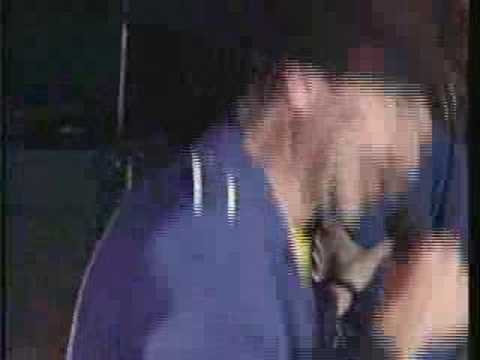 Banana Airlines - Skipagurra Babylon