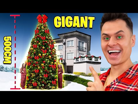 I BOUGHT THE BIGGEST CHRISTMAS TREE IN POLAND!