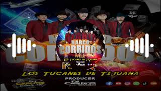 Mix  Los Tucanes de Tijuana _Mix Narco Corridos_ 2024  By Dj Carlitos Simalij 502