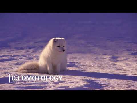 Da Africa Deep - Promises (Ft. Lyrik Shoxen)