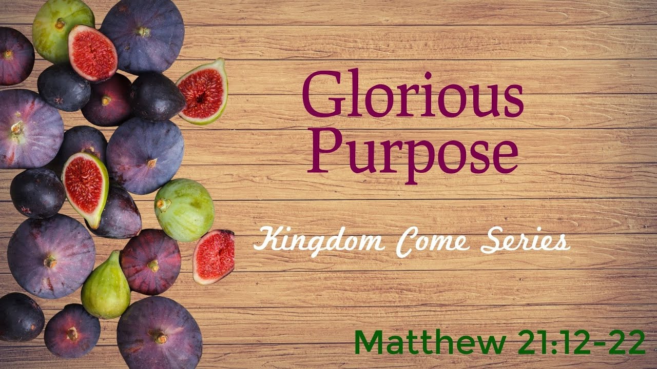 Glorious Purpose