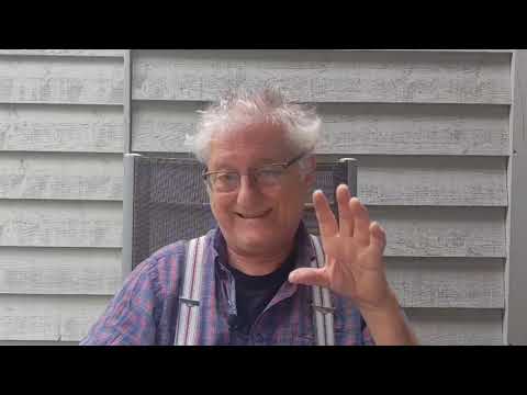 PLASMASTRÖMUNG: Der Tanz der Chloroplasten | lessonsathome