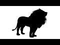 Reklama LION BlackWhite Obudzwosobielwa