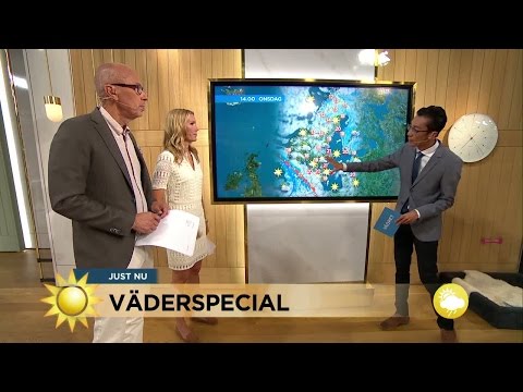 "Stor risk för bränder i skog och mark" - Nyhetsmorgon (TV4)