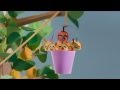 Sesame Street Quincy S Letter Q Song