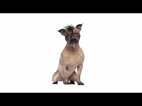 Video Lyrics - Lil $ilit - Insecure pt 2.  #music #videolirik #lil$ilit #insecure