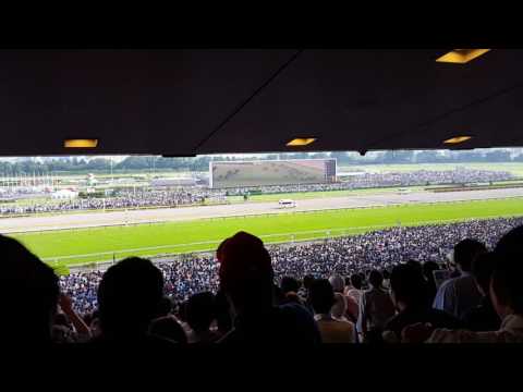 2016/05/29　第83回日本ダービー　東京競馬場