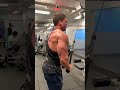 Tricep pushdown (rope attachment)