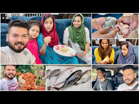 Youtube Video Youtube Video