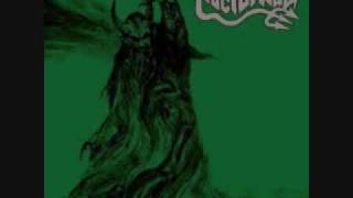 Nocturnal - Swarm of Insects