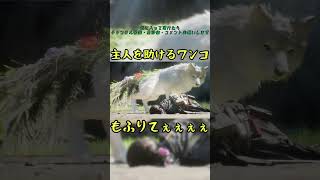 主人を助けるワンコ　#ビーストオブリンカネーション #ワンコ #主人 #shorts