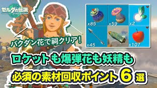 【ティアキン】必須の素材回収ポイント6選 ロケットもバクダン花も妖精もケムリダケも不足したらここで回収！ゼルダの伝説 ティアーズ オブ ザ キングダム  Zelda 【Switch】
