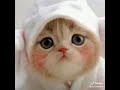 Bokep Indo
