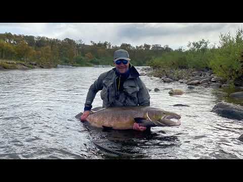 Fly fishing in Norway. Probably the biggest salmon caught in 2022?