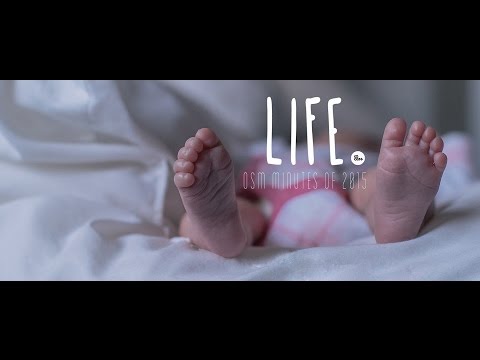 OSM minutes of 2015 - LIFE.