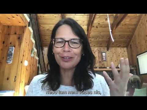 Giving feedback | Letty Rising