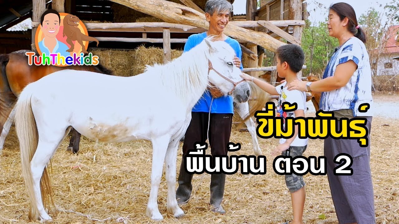 ชมรมอนุรักษ์ม้าพันธุ์พื้นบ้าน