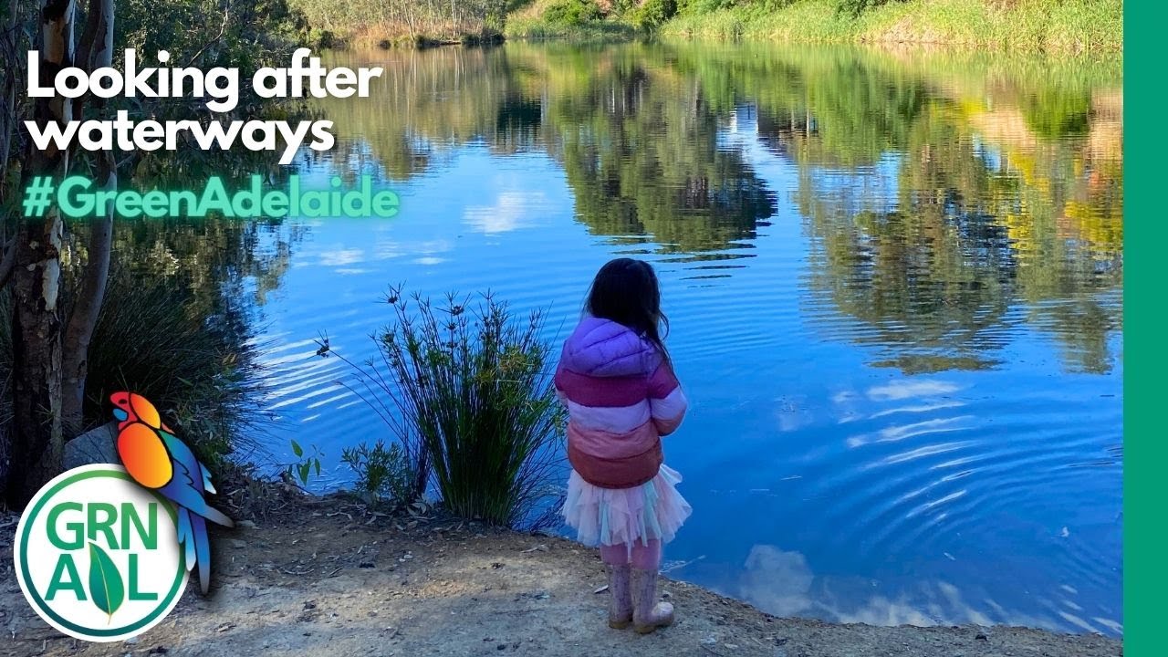 Webinar – Looking After Waterways