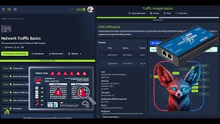 TryHackMe Network Traffic Basics - Full Walkthrough 2025