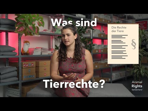 Was sind Tierrechte?