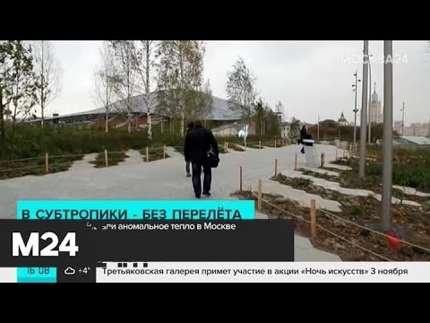 Синоптики пообещали аномальное тепло в Москве - Москва 24