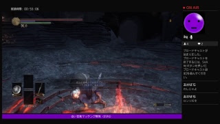 ダークソウル3闘技場を遊びつくす！