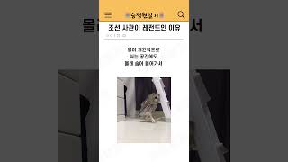 Download lagu 조선 사관이 레전드인 이유 mp3