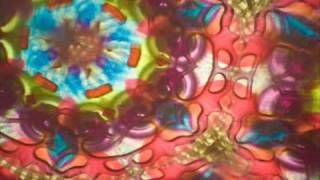 Daedelus- Welcome Home (Prefuse 73)