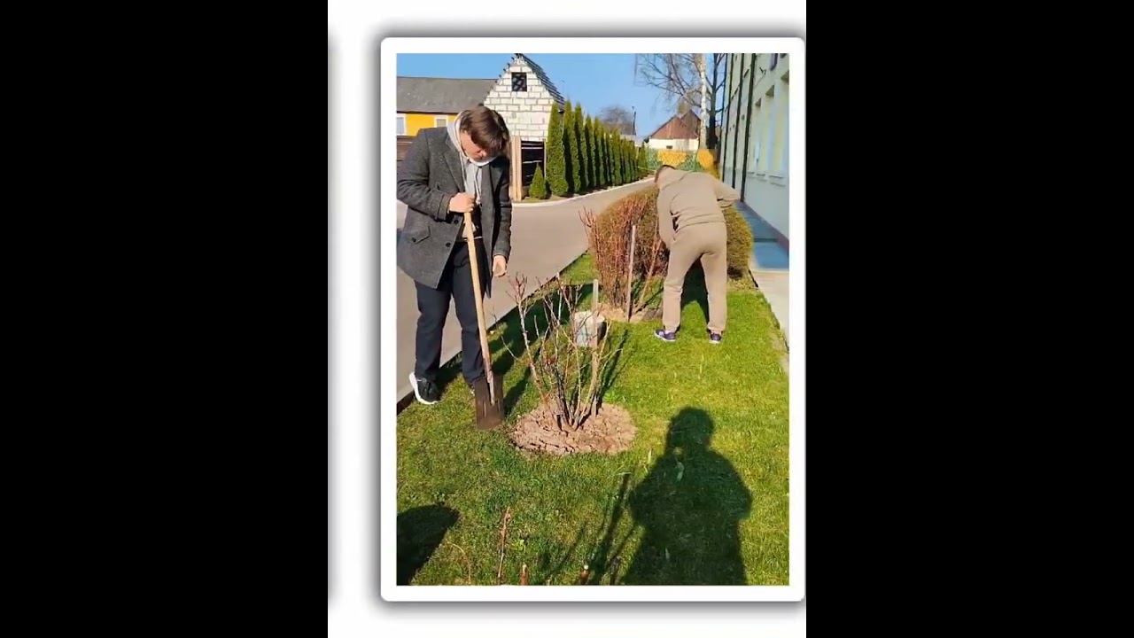 Превью видео