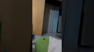 Ela Disse Que ia Fazer a Mina Assanhada Só que Tava Mais Pra Mina Elétrica 😹😹