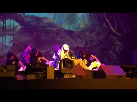 The D&E in Kuala Lumpur - Jungle