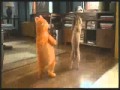 Garfield Wmv